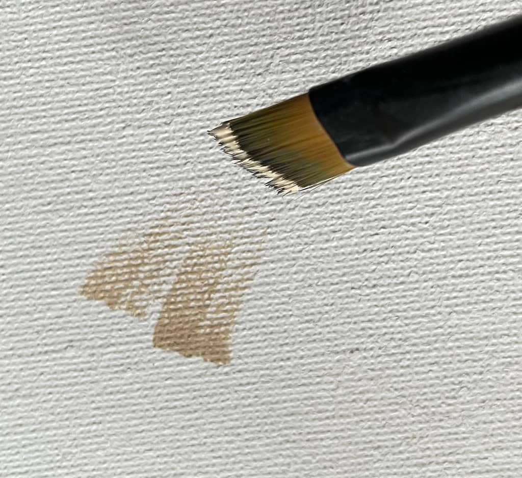 Easy Canvas Painting Ideas for Beginners Stepbystep Guide for